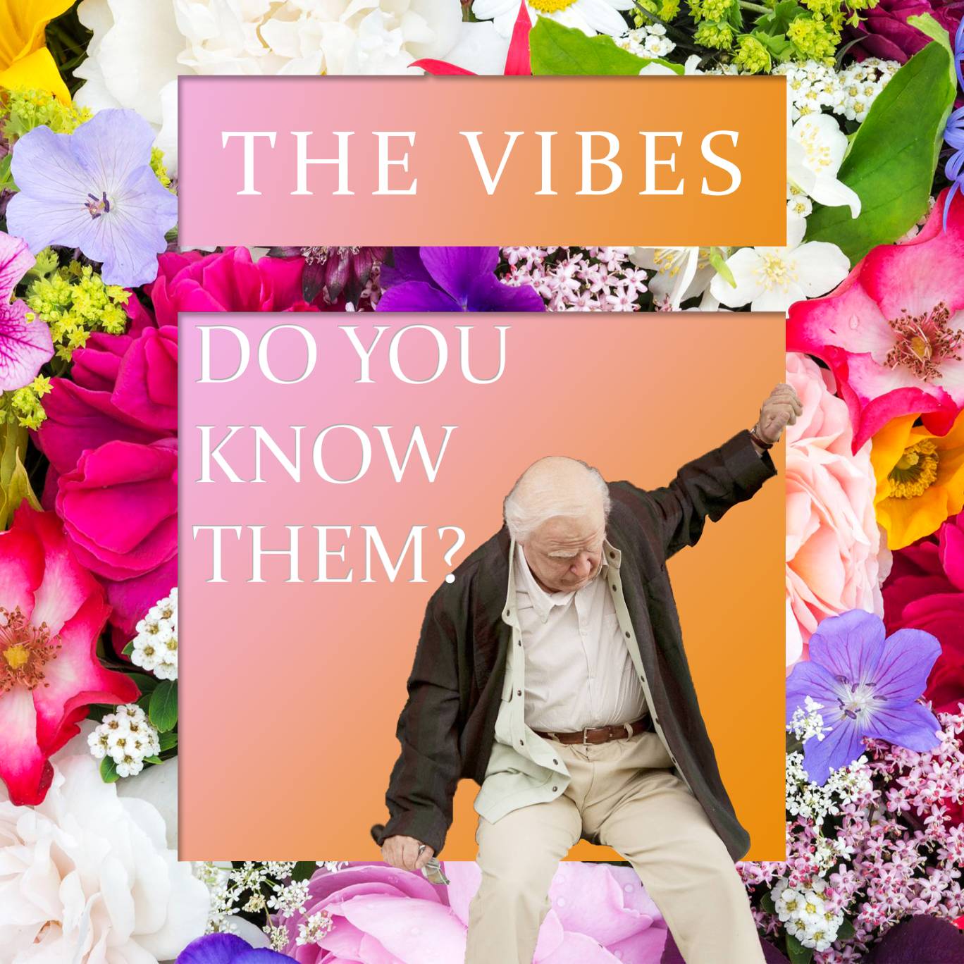 The Vibes album cover